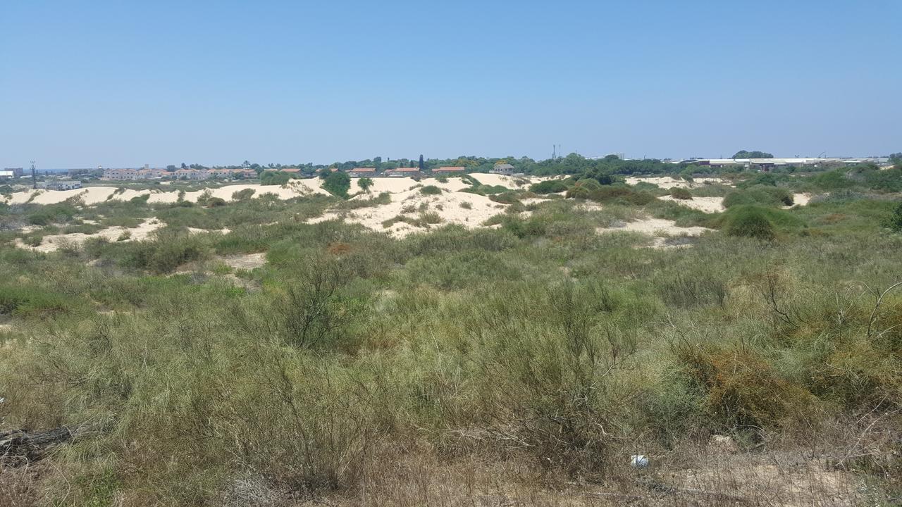 Neot Golf Caesarea Garden Apartment Exterior photo